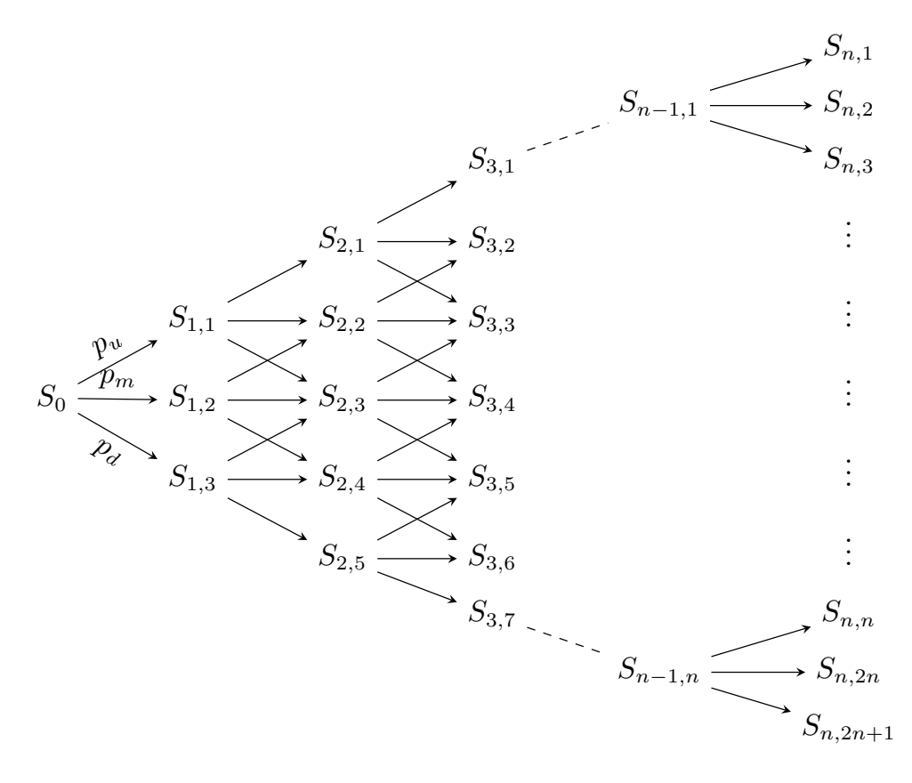Nodes of an n-period Boyle trinomial tree.